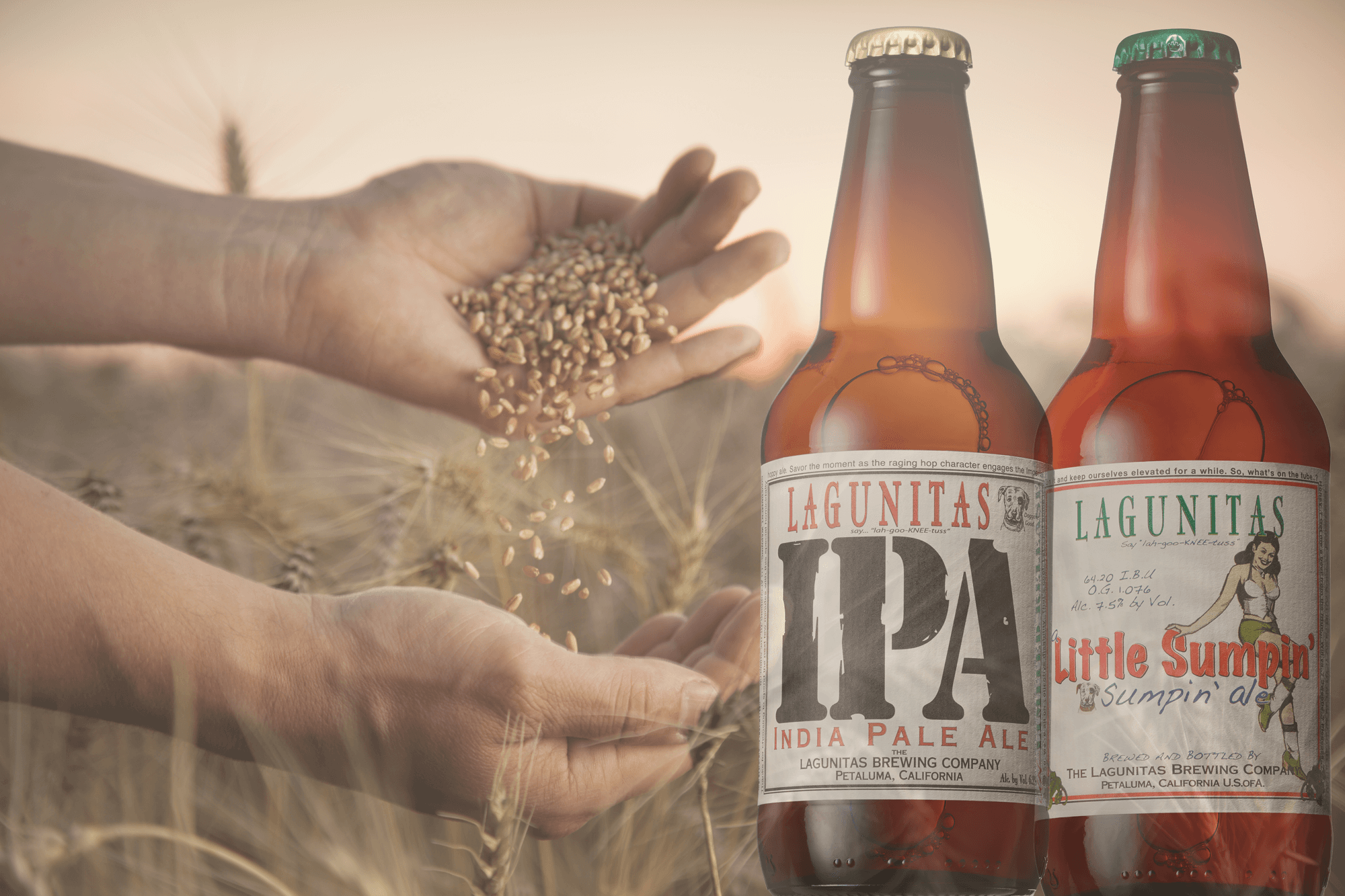 Lagunitas (1)