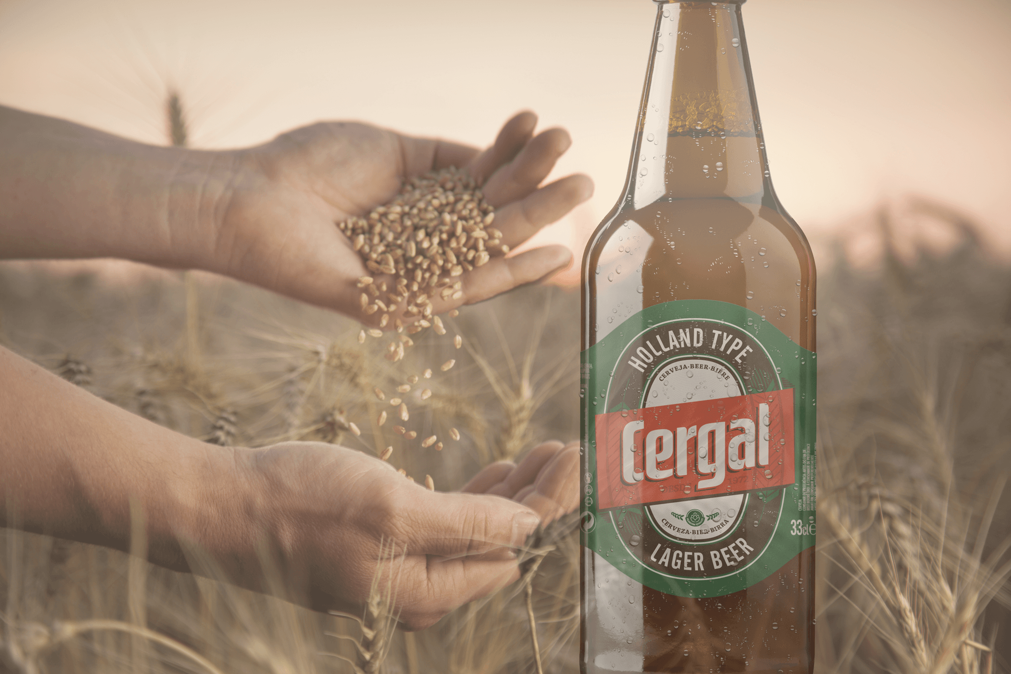 Cergal (1)