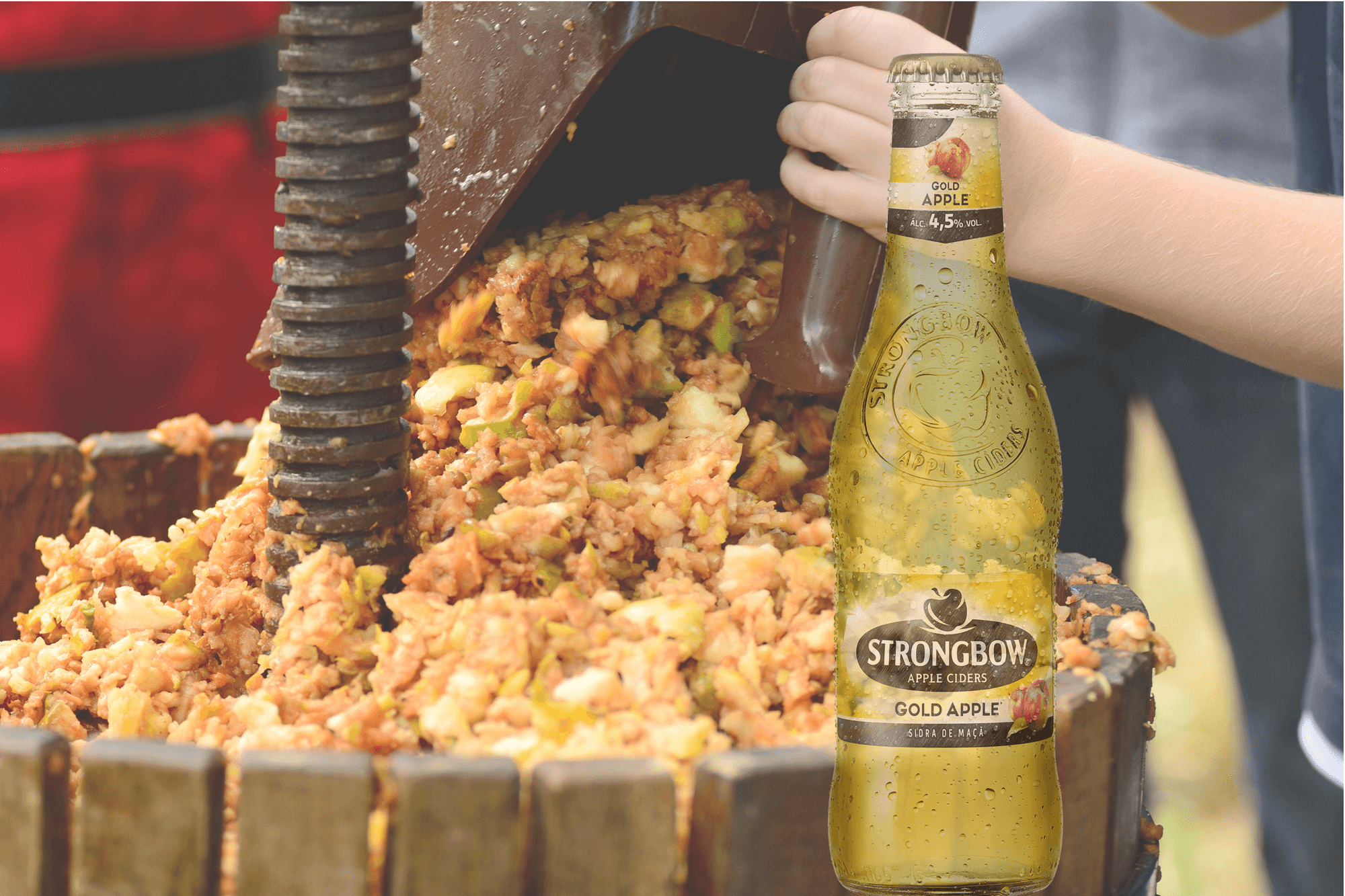 Strongbow (1)